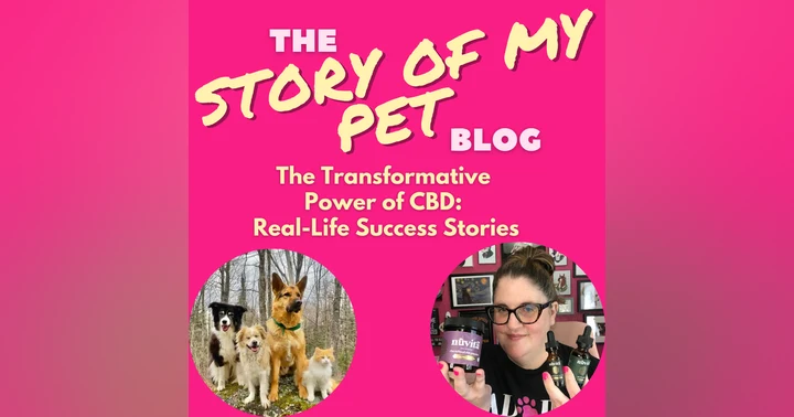 image for The Transformative Power of CBD: Real-Life Success Stories