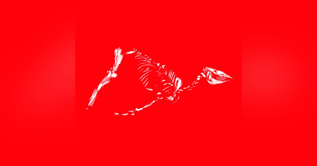 Encore: Upon a Red Horse, Part IV
