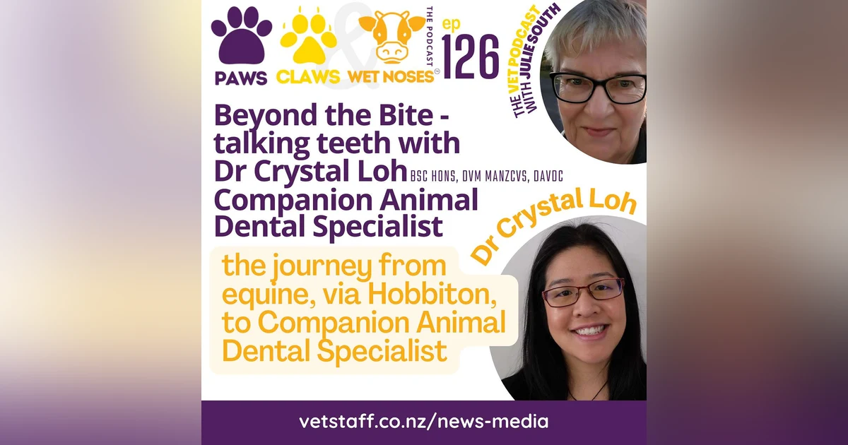 Beyond the Bite - talking teeth with Dr Crystal Loh - Companion Animal Dental Specialist
