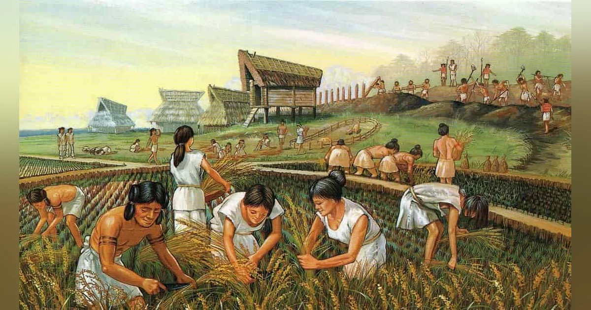 Episode 8 - The Neolithic