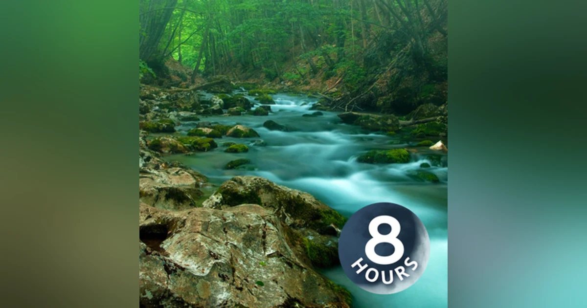 Forest Creek Water Sounds for Stress Relief, Relaxation or Sleep 8 Hours