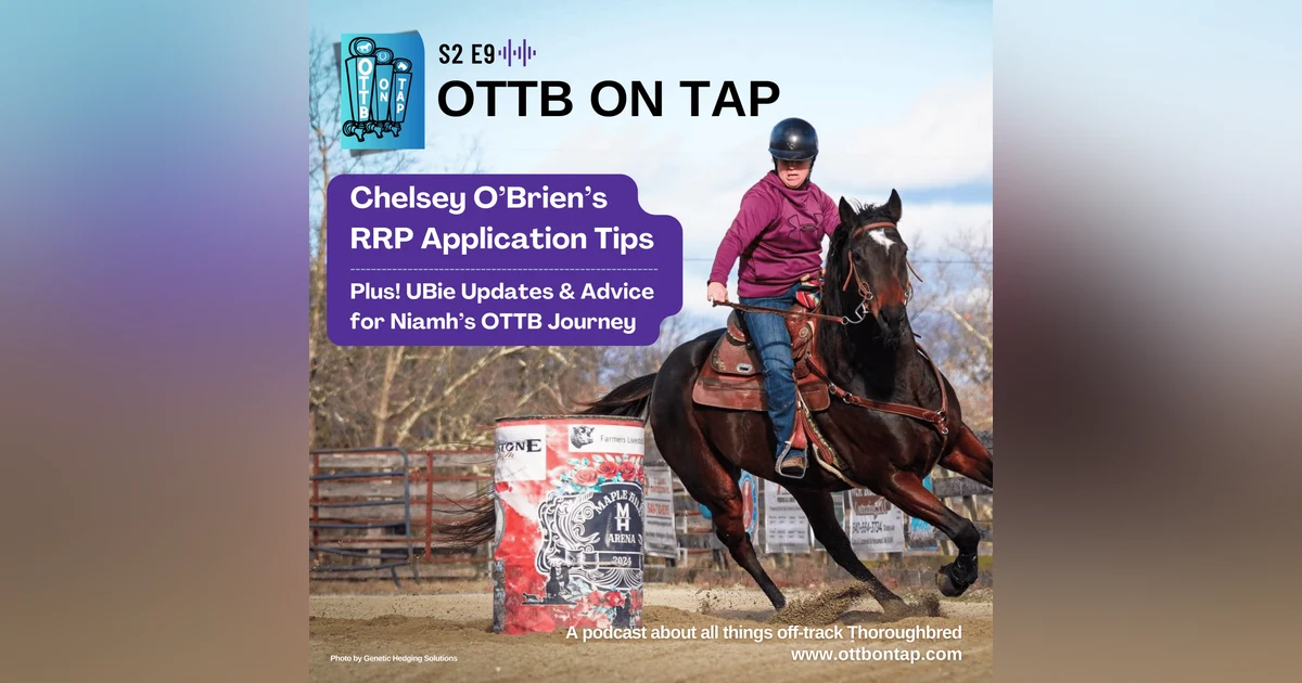 S2 E9: Chelsey O’Brien’s RRP Application Tips, UBie Updates & Advice for Niamh’s OTTB Journey