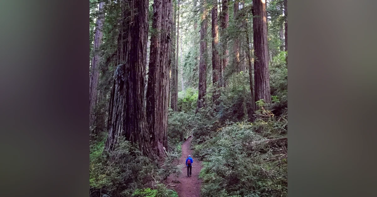 #80: Mailbag: Redwood National and State Parks, and much more!