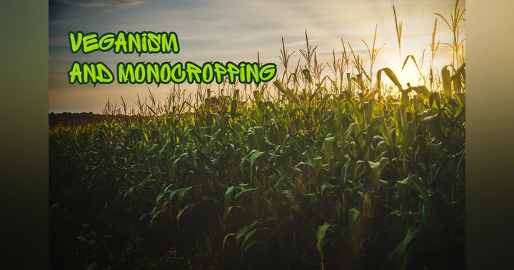 image for Veganism and Monocropping