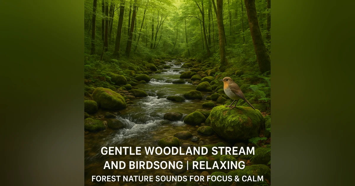 Gentle Woodland Stream and Birdsong | Relaxing Forest Soundscape for Serenity