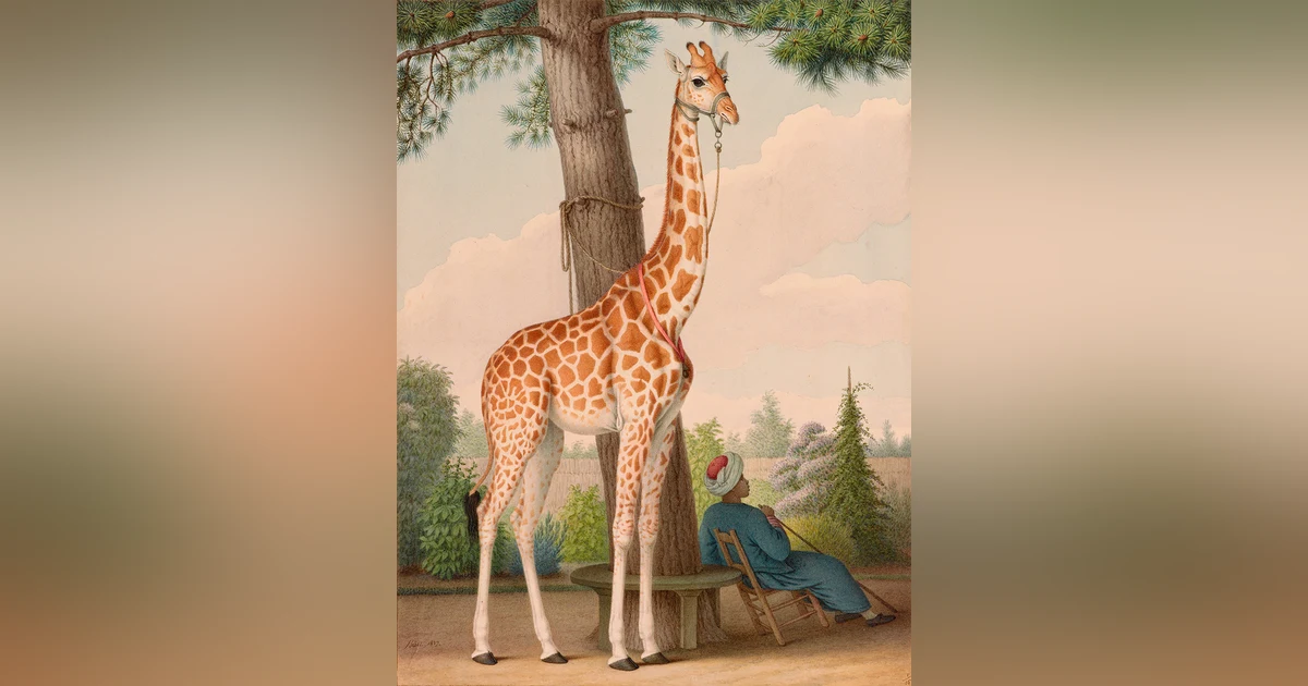 Famous Historical Animals
