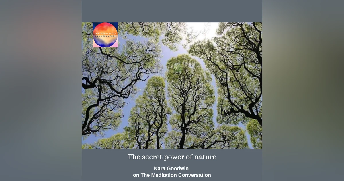 218. Secret Power of Nature - Kara's Kushion
