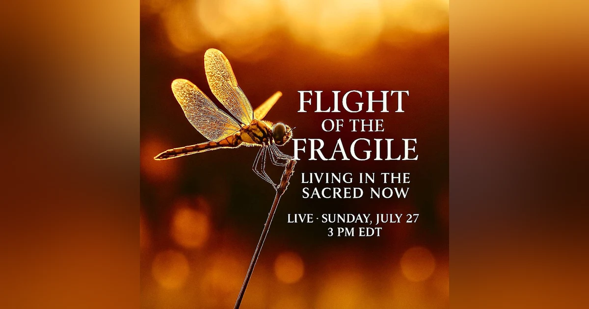 Flight of the Fragile:  Living in the Sacred NOW!