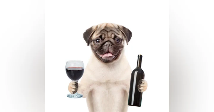 image for Liquor Industry News 08-26-26