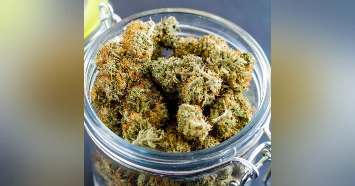 Cannabis in Spiritual Practice