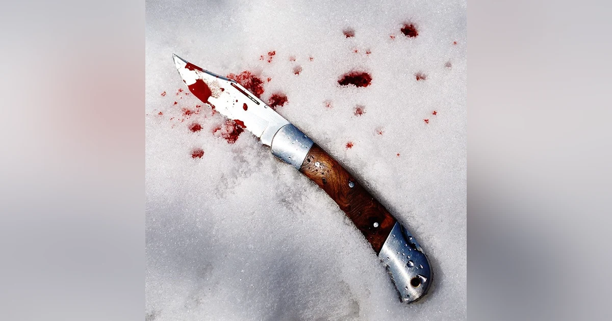 The Weather Outside is Frightful - There's a Blizzard and This Killer's Blood is Just as Cold!