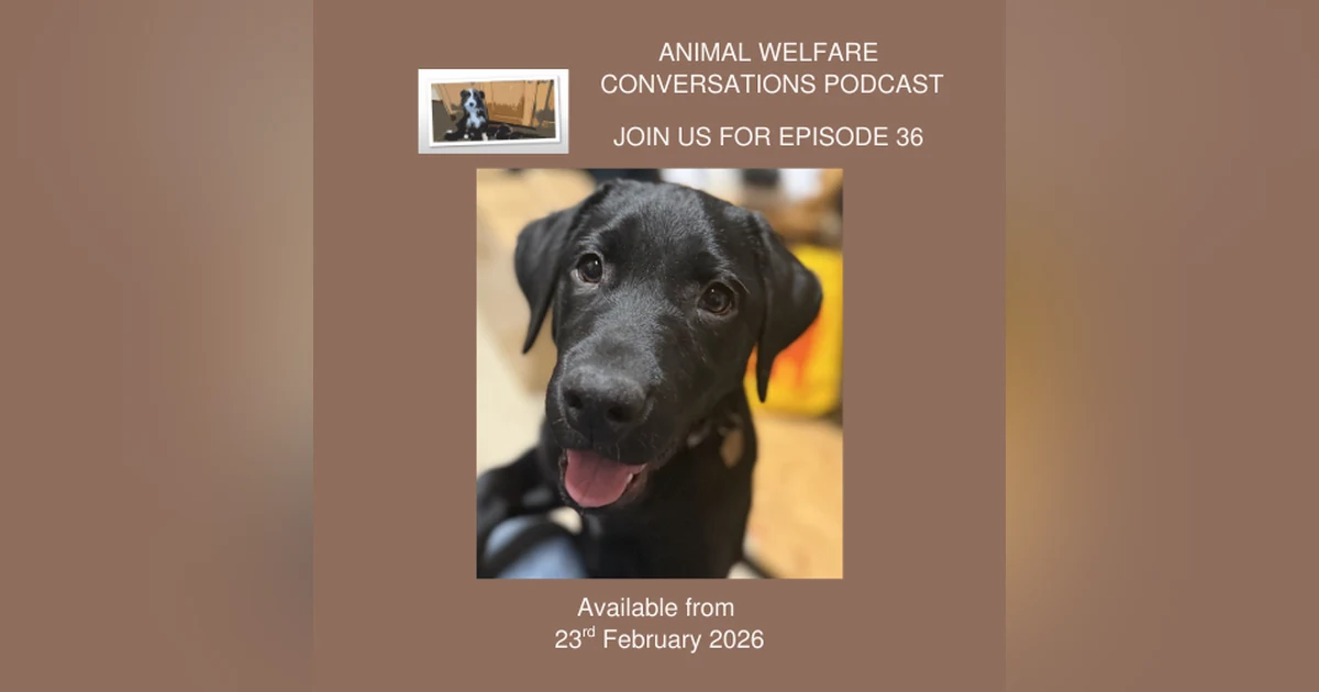 2026: New Animal welfare conversations