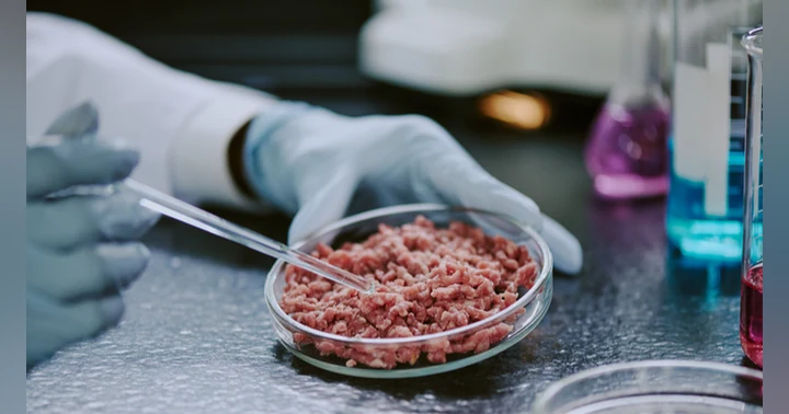 image for South Dakota Signs 5-Year Moratorium On Lab-Grown, Cell-Cultivated Meat Products