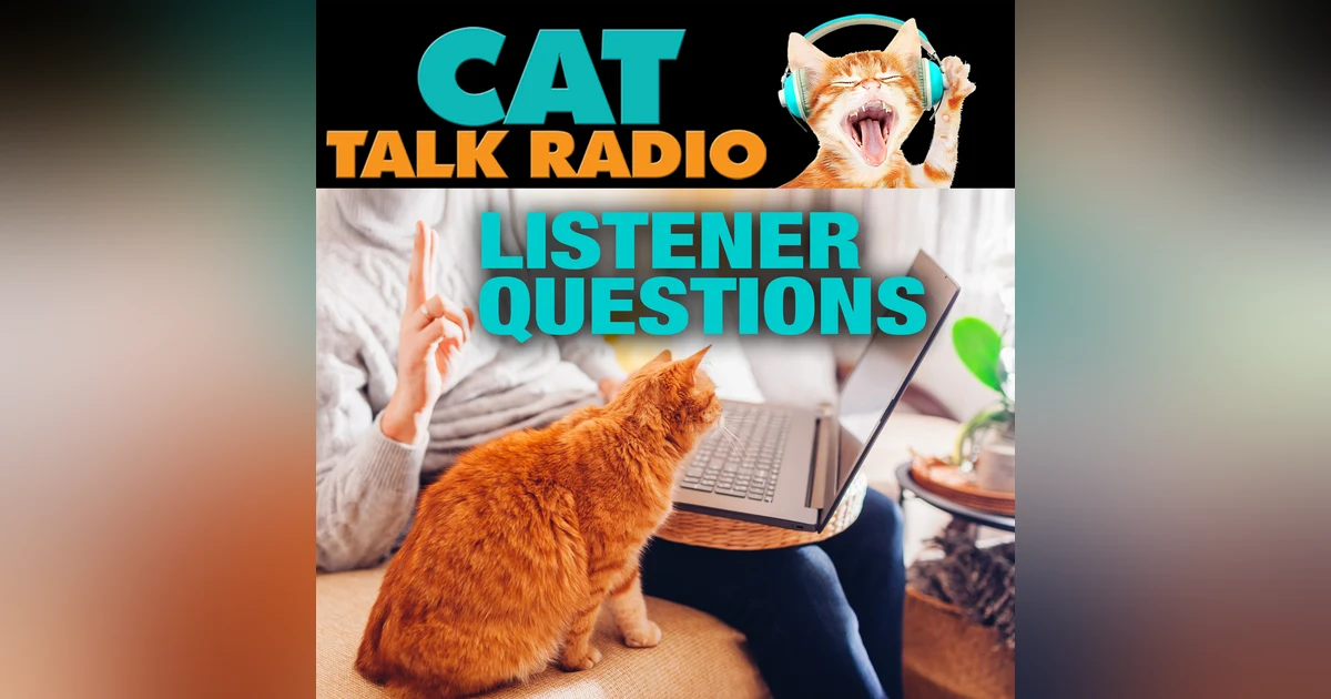 Listener Questions: Pirate Cats, Harness Protests & Toy Treasures