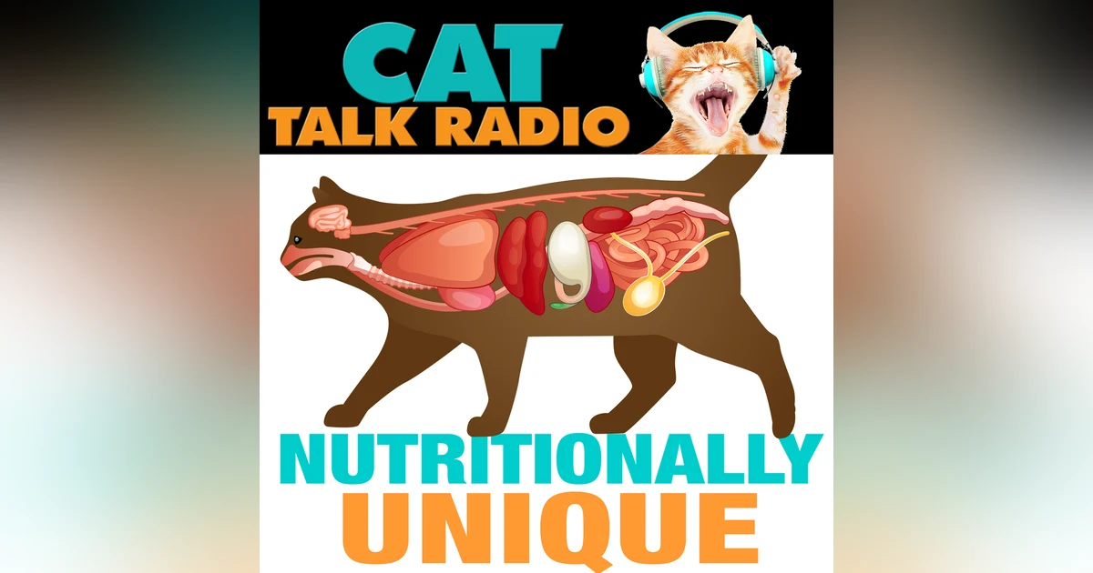 What Makes Cats So Nutritionally Unique?