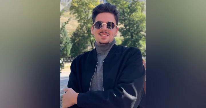 image for Mașinăria germană cu kilometri dați înapoi:  (re)ascensiunea AfD și Die Linke și declinul partidelor tradiționale