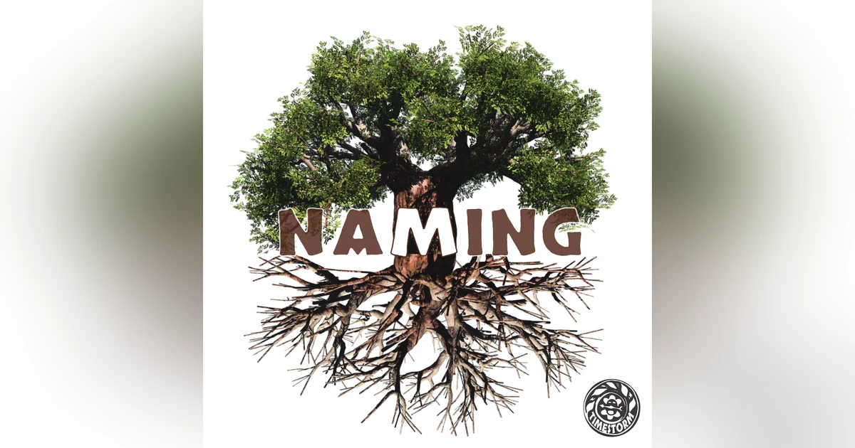 Episode 12: Naming
