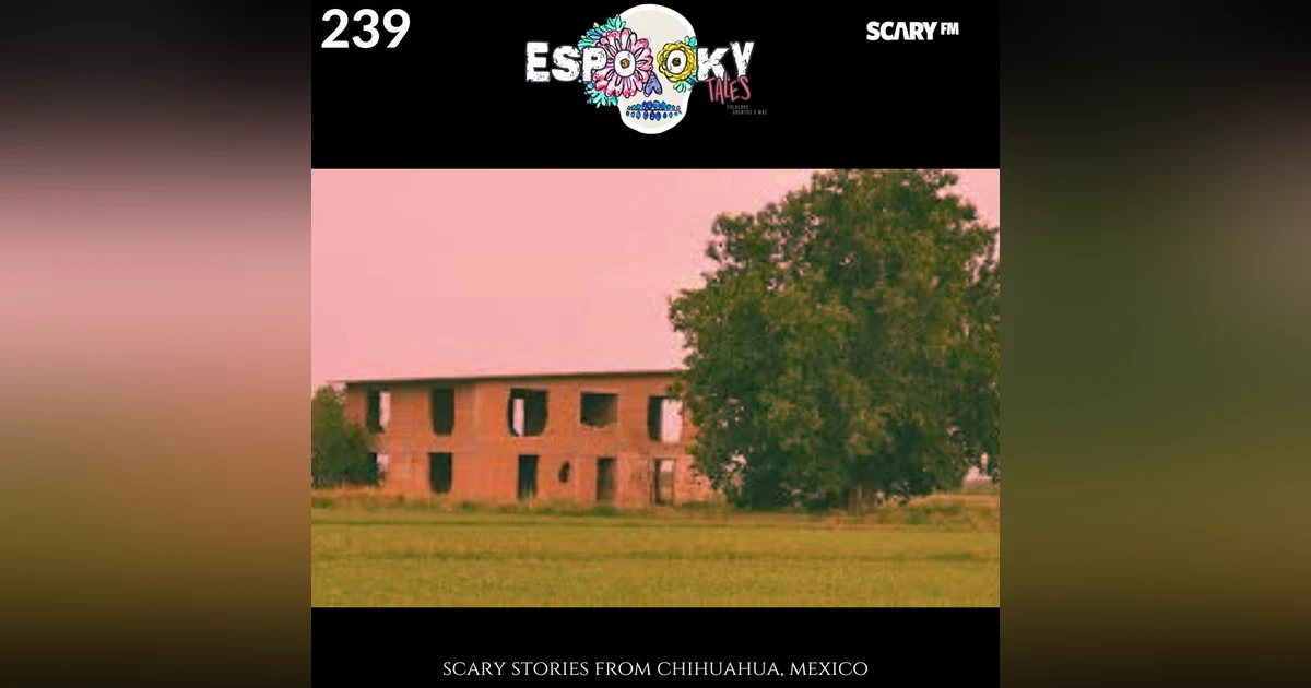 Scary Stories From Chihuahua