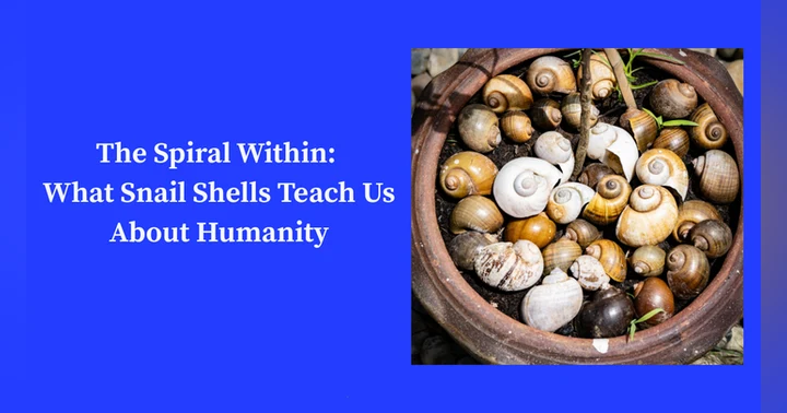 image for The Spiral Within: What Snail Shells Teach Us About Humanity