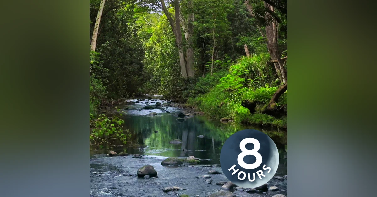 Forest River Ambience | Water Sounds 8-Hours | Sleep or Study