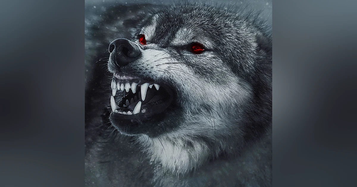 Five Stories of Wolf Beasts!