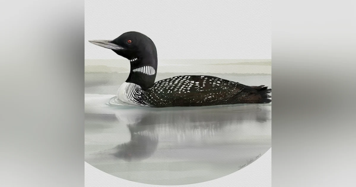 Loons