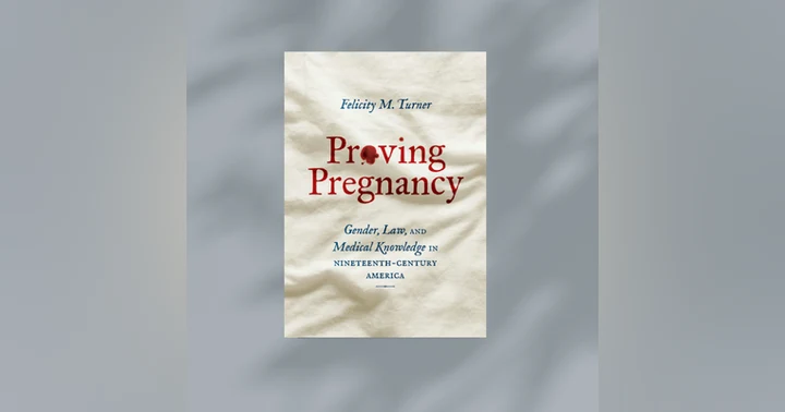 image for Clio's Review of Proving Pregnancy