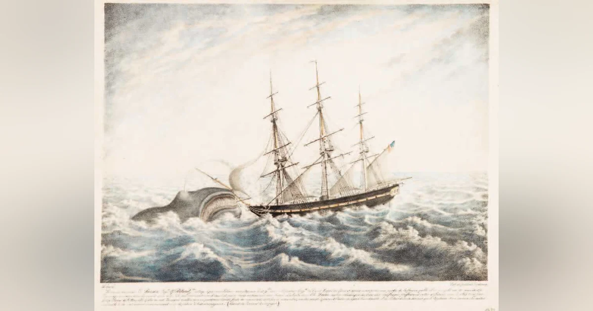 The Sinking of the Whaleship Essex