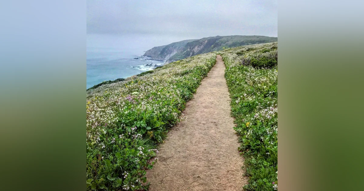 #85: Point Reyes National Seashore