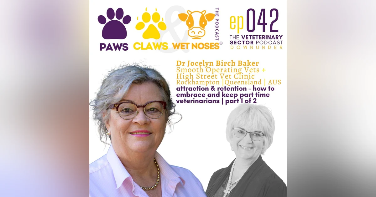 042 - How to embrace and retain part time vet mums at your veterinary clinic with Dr Jocelyn Birch Baker of Smooth Operating Vets - part 1/2