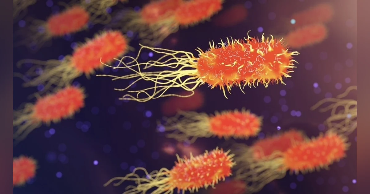 Know Your Sepsis