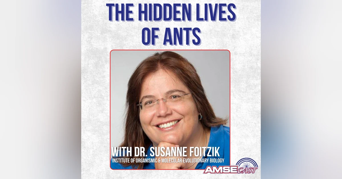 The Hidden Lives of Ants with Susanne Foitzik
