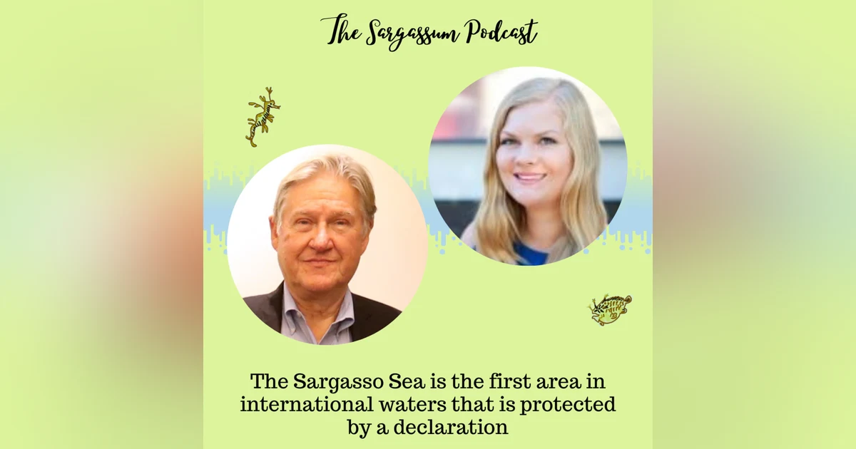 Episode 14: Conserving an incredible ecosystem with Teresa Mackey and Dr David Freestone of the Sargasso Sea Commission