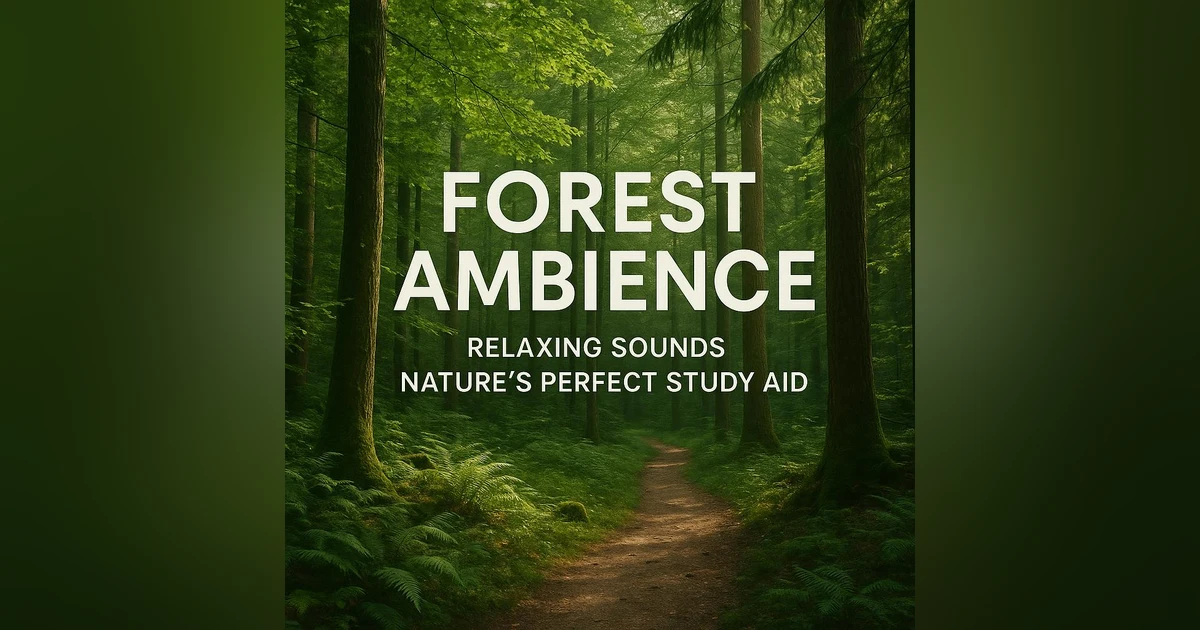 Forest Ambience Relaxing Sounds | Nature’s Perfect Study Aid