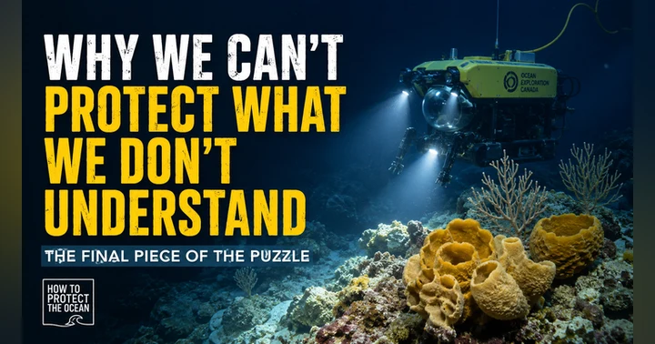 image for Why We Can’t Protect What We Don’t Understand