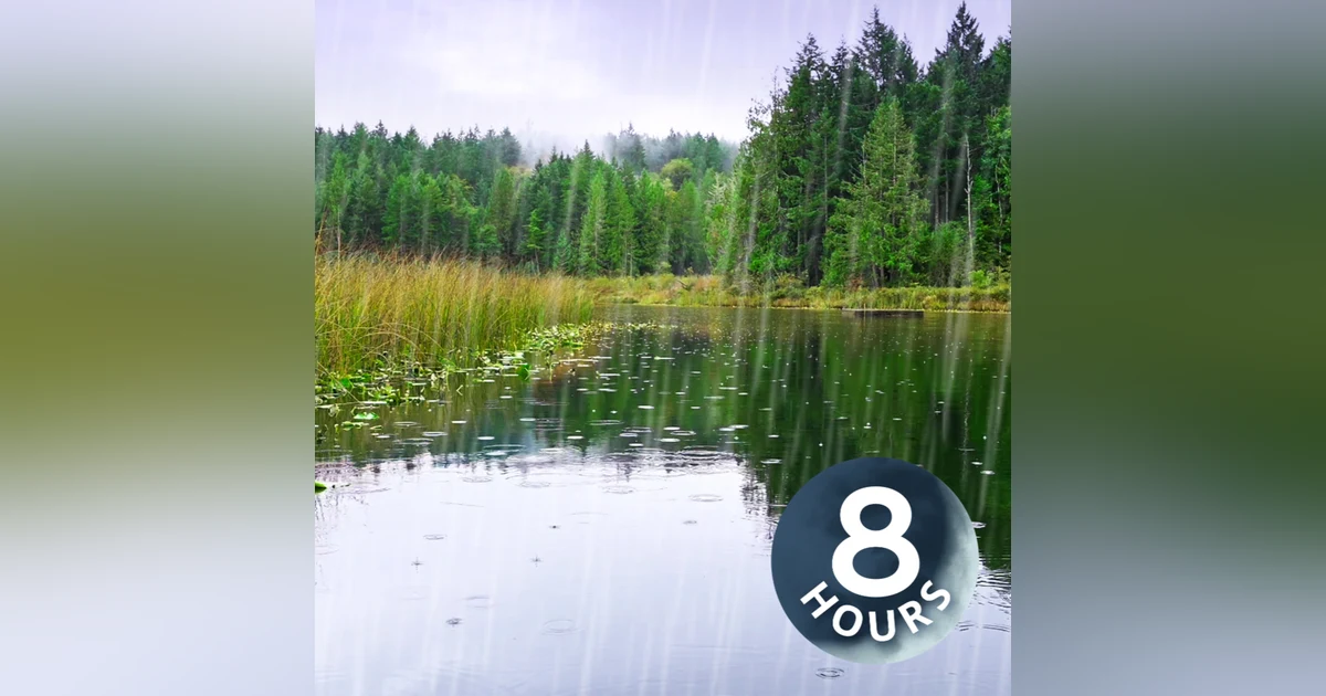 Rainstorm Sleep Ambience | Rain Sound + Pond White Noise 8 Hours