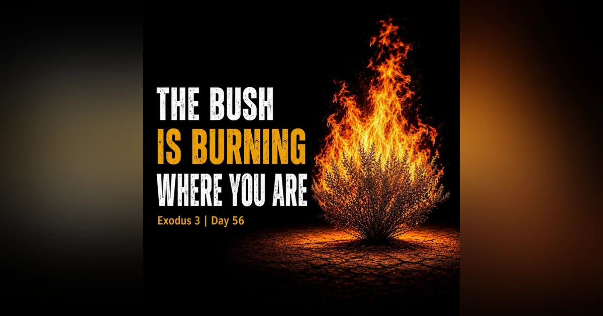 The Bush is Burning Where YOU are!