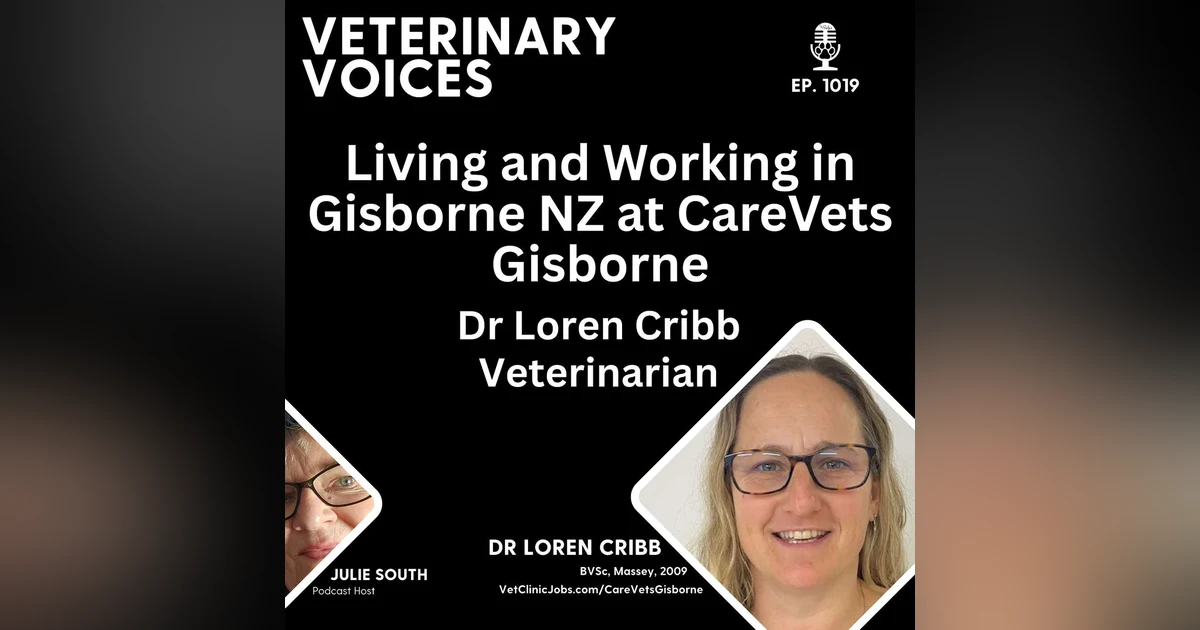 Living and Working as a Veterinarian at CareVets Gisborne with Dr Loren Cribb - ep. 1019
