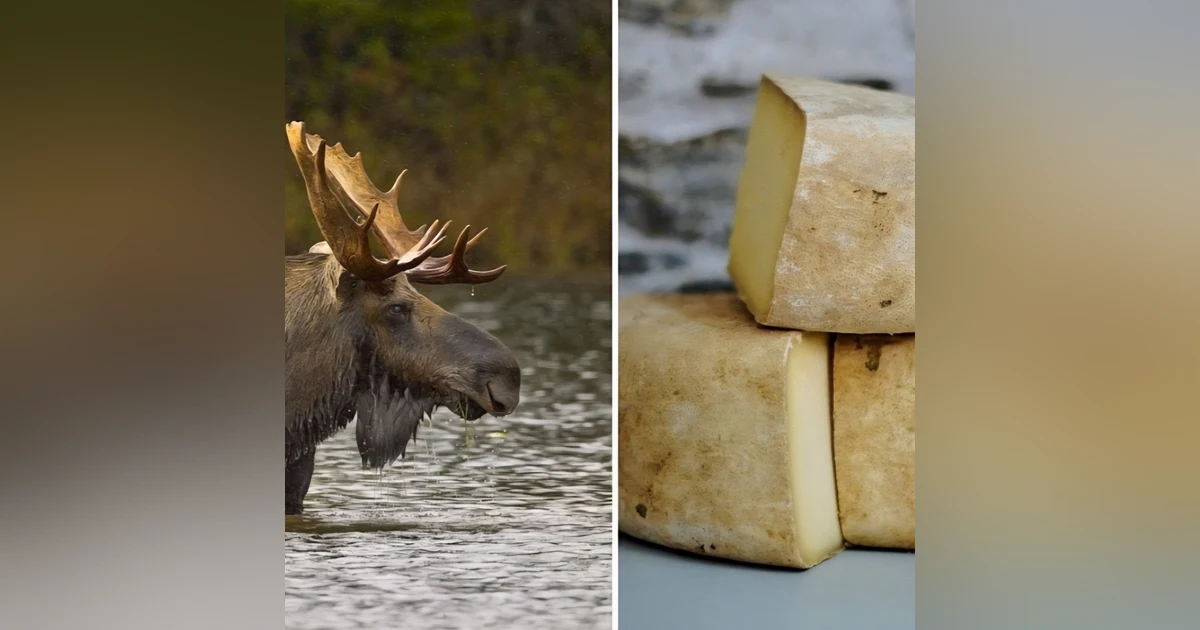 SoberNotMature - Episode 185 (Danger Moose & The Cheese In The Morning)