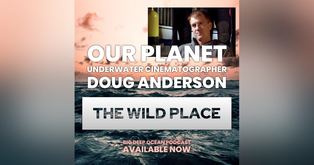 The Wild Place - Underwater cinematographer Doug Anderson on how the ocean has defined his life on films such as "Our Planet", "Frozen Planet", and "Life"