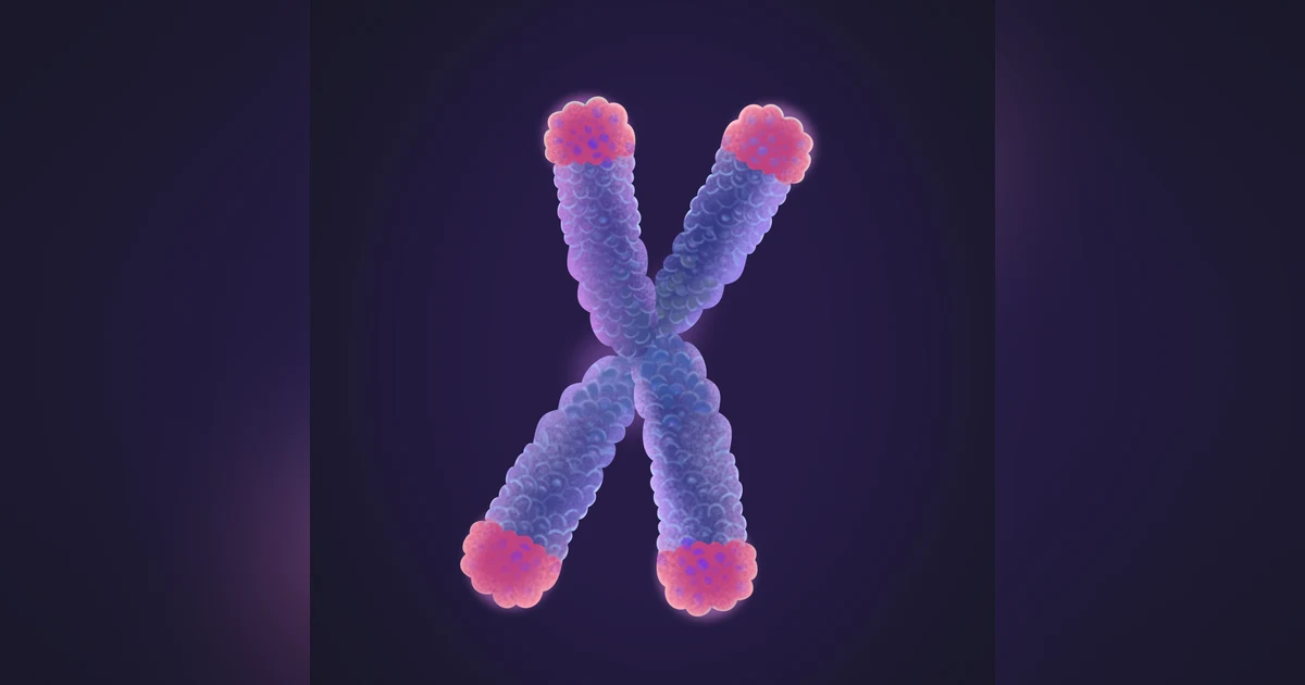 The Telomere Effect: A Diversity of Factors That Lead to Longevity and How They Relate to the Vitality of Telomere