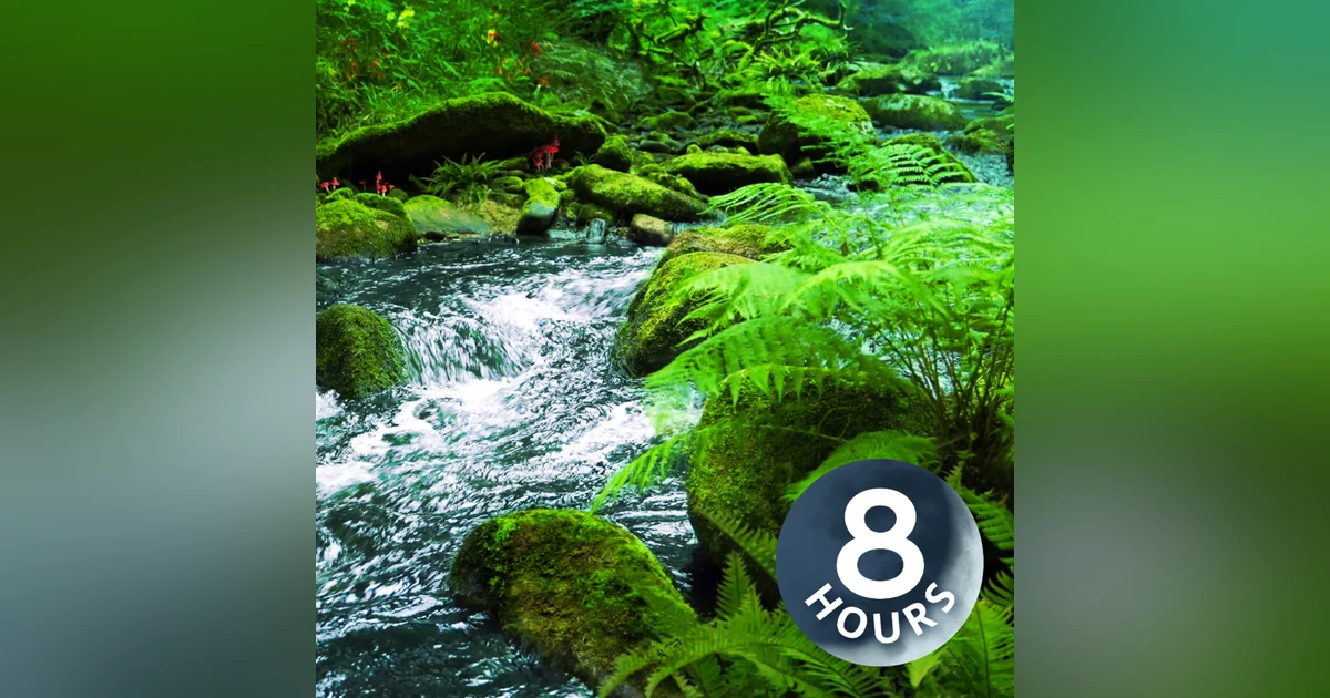 Rain + River in Enchanted Woods 8 Hours | Sleep, Study or Relax!