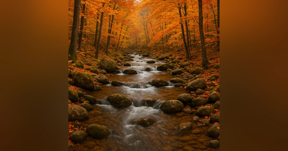 Autumn Stream - Peaceful Forest River in Fall Foliage - Relaxing Water Sounds & Autumn Ambiance