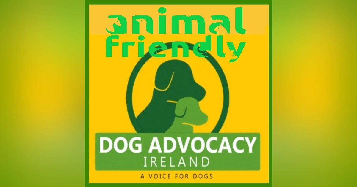 19. A Voice for Dogs in Ireland