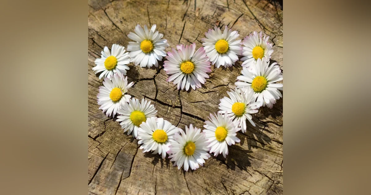Yes, You CAN Manifest Love - Suzie The Dating Diva Sept 2, 2021