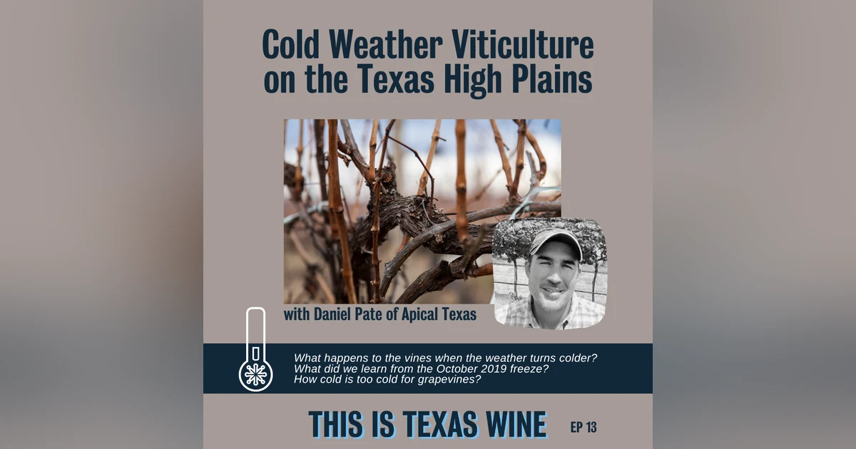 Cold Weather Viticulture with Daniel Pate of Apical Texas