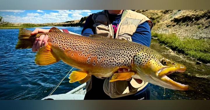 image for Wyoming's Last Big Secret: Fly Fishing the Green River Below Fontenelle Dam