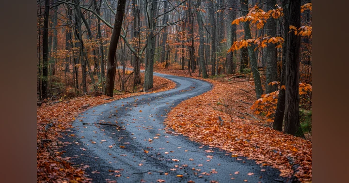 image for The Power of Transformation: Aligning Inside and Out