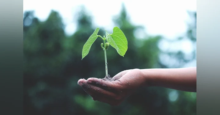 image for Mindset, Not Mechanics: Emotional Intelligence as the Real Engine of Business Growth