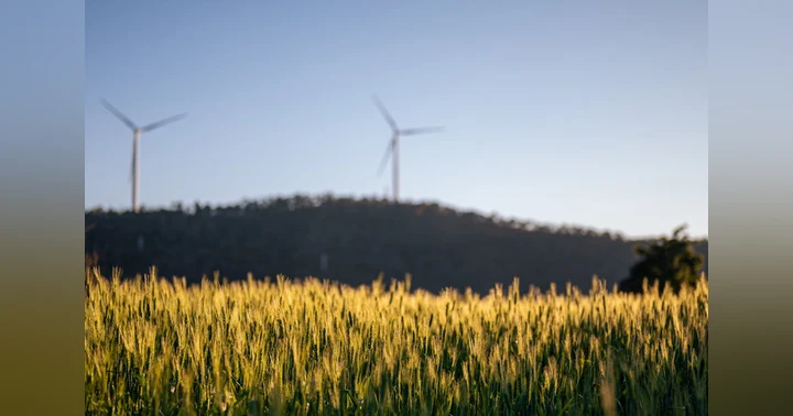 image for Sustainable Innovation Wins When It Is Built on Purpose